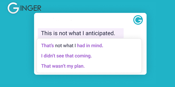 How can I Save Money on Grammar Checking Tools?