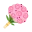 AbcFlora