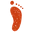 Baby Foot
