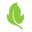 Balance of Nature