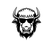 Bison Head