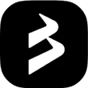 Black Bull Markets