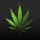 Black Leaf