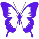 Boutique Papillon