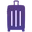 Case Luggage