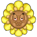 CBD Blume DE