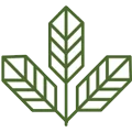 Cheef Botanicals