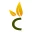 Chinese Herbs Direct