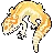 Crested Gecko Morph Guide