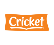Cricket
