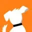 DOGTV