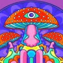 Dreamer Shrooms