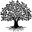 Family Tree Chart