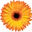 Fareastflora MY