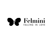 Felmini