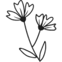 Flowercard
