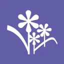 From You Flowers
