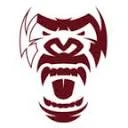 GORILLA FLOW