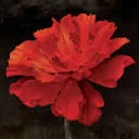 Hadestown UK