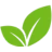 Herbion Naturals