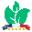 Jardioui