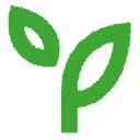 Junger Spross