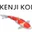 KENJI KOI