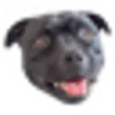 Klem Klem