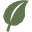 KratomSpot