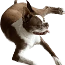 Kurk