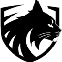 LYNX Boxing