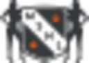Msnl