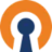 Open VPN