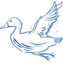Original Duckhead