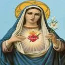 Our Lady of Guadalupe
