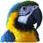 Parrot Essentials UK