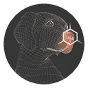 Playology