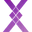 Plexicam