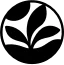 Pressed Juicery