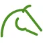 Procavallo