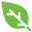 Purematcha