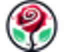 Rose Eternelle La Boutique