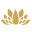 Satya Jewelry