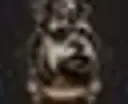 Secret Schnauzer Society