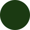 Seed