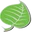 Silverliningherbs