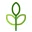 Snoozel Green