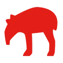 tapir