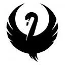 Teal Swan