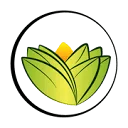 The Ayurveda Experience DE